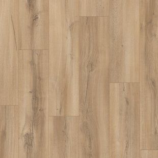 Ламінат Grandeco Charme 591 Дуб Натур Екстренний 591 &mdash; зображення товару