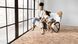 Ламинат Kaindl AQUA PRO SELECT Smart Plank 4V 8 K2587 Дуб Milano Nina K2587 фото 2