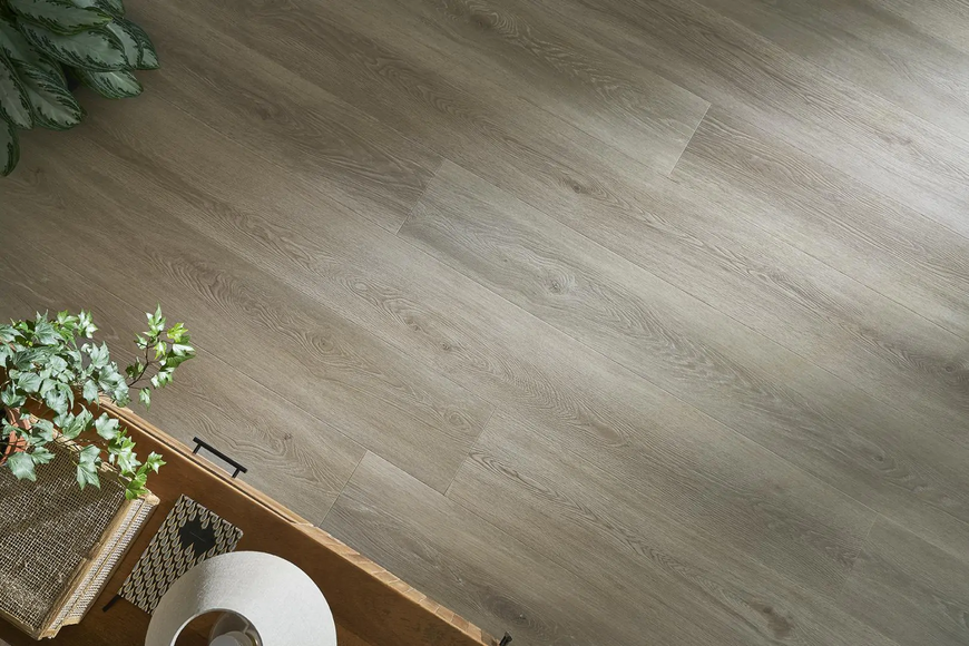 Виниловый пол Arbiton Amaron Wood CAS220 Дуб Тампа CAS220 &mdash; изображение товара