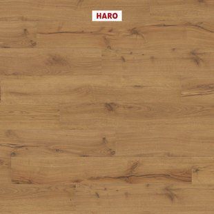 Ламинат Haro TRITTY 100 542069 Alpine Oak Nature 542069 &mdash; изображение товара