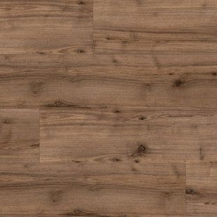 Ламинат Kaindl CLASSIC TOUCH Standard Plank 4V 8 mm К2596 Walnut Lago К2596 &mdash; изображение товара