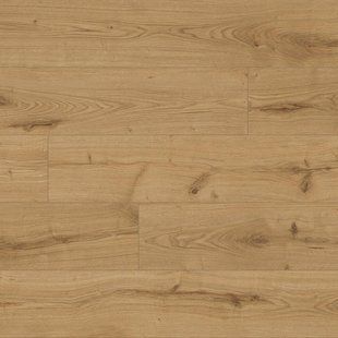 Ламинат Kaindl CLASSIC TOUCH Standard Plank 4V 8 mm 37813 Oak Severina 37813 &mdash; изображение товара