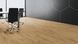Ламинат Kaindl CLASSIC TOUCH Standard Plank 4V 8 mm 37813 Oak Severina 37813 фото 2