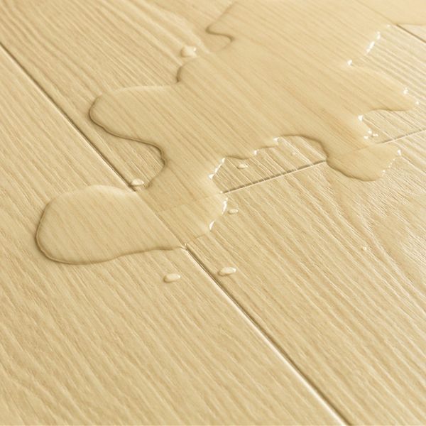 Ламінат Quick Step Impressive IM8258 Дуб кремовий IM8258 &mdash; зображення товару