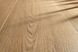 Виниловый пол Gerflor Virtuo 55 DryBack 1460 Blomma Beige V1460DB фото 4