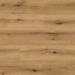 Ламинат Kaindl NATURAL TOUCH Standard Plank K5573 Oak Evoke Coast K5573 &mdash; изображение товара