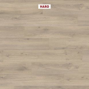 Ламинат Haro TRITTY 100 538695 Oak Emilia Velvet Grey 538695 &mdash; изображение товара