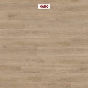 Ламинат Haro TRITTY 100 535261 Oak Veneto Crema 535261 &mdash; изображение товара